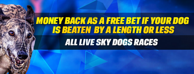 ​Amazing Dog Racing Offer: Enjoy the Coral Money Back if Beaten By Length
